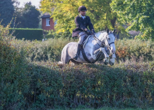 Solid and sensible hunter