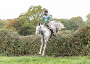 Solid and sensible hunter