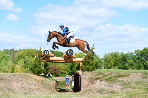 WANTED -  TRAVELLING HEAD GROOM & HOME GROOM - Findon, West Sussex