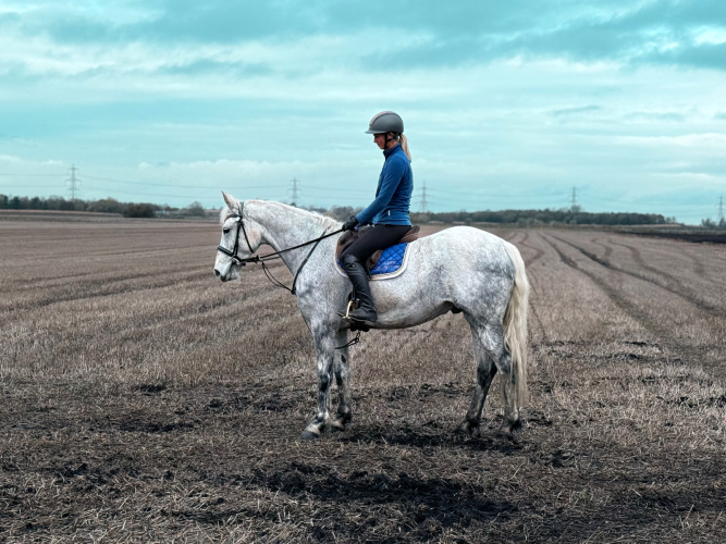 SUPER EASY ALLROUNDER