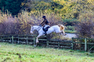 Cracking 148 Hunter/Allrounder