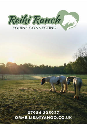 Equine Reiki