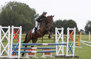 Fun Allrounder/Competition horse