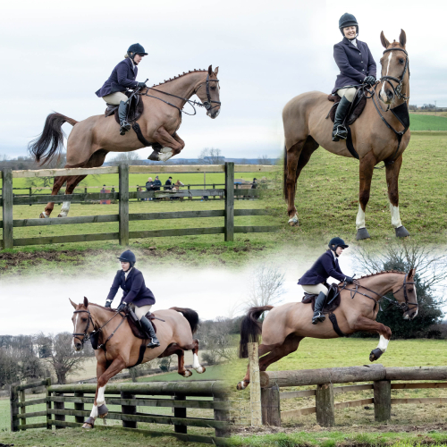 LADIES HUNTER/TEAM CHASER