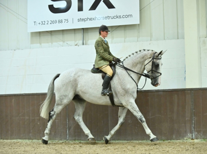 17hh Schoolmaster