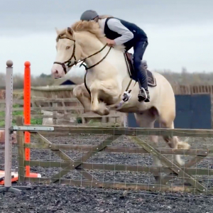 SUPER LITTLE HUNTER / ALLROUNDER / RC / PC / MOTHER DAUGHTER SHARE