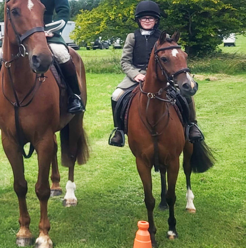 Super & Safe Hunting / PC pony