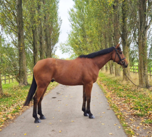 Event Type With Serious Potential 