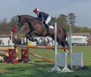 Amateur’s  showjumper