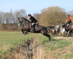 Absolutely Stunning Hunter