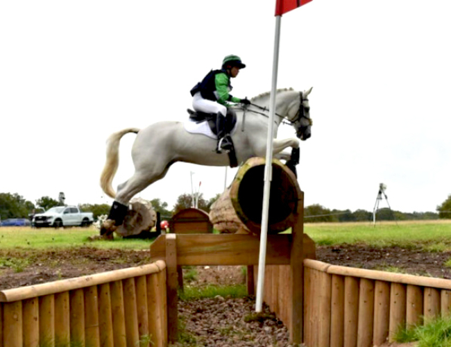 EXCELLENT JUMPING PONY - MOTHERS DREAM