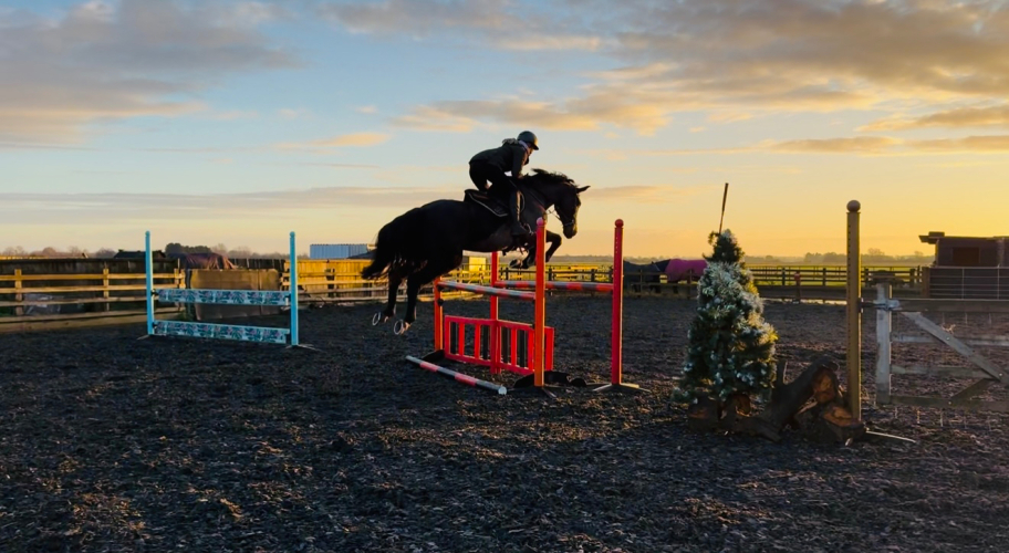 DREAMY HUNTER AND SUPER ALLROUNDER