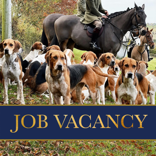 Warwickshire Hunt Whipper In