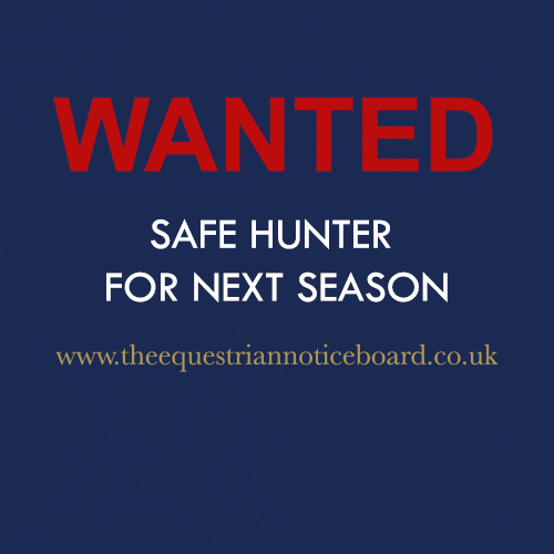 SAFE HUNTER WANTED FOR NEXT SEASON