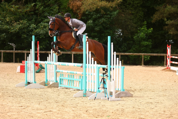 Fantastic showjumper by Vivant Van De Heffinick