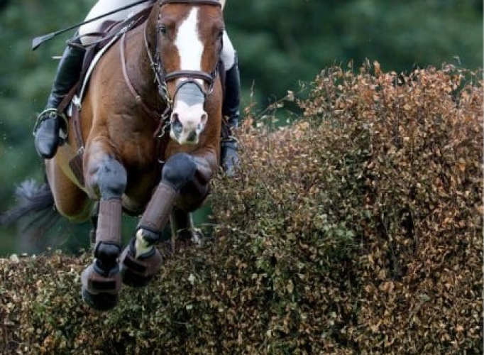 Brunch & Brilliance: The Five Star Eventing Experience - 10th February 2026